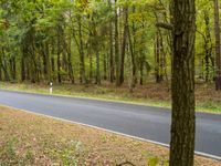 a man riding his skateboard down a winding road in the woods outside of a wooded area