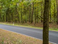 a man riding his skateboard down a winding road in the woods outside of a wooded area