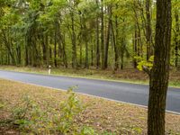 a man riding his skateboard down a winding road in the woods outside of a wooded area