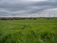 a green field with windmills in the distance under a cloudy sky with white clouds