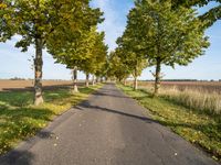 Germany's Landscape: Nature and Greenery