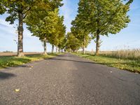 Germany's Landscape: Nature and Greenery