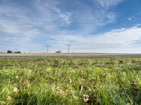 Germany Landscape: Rural Field in Autumn