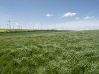 green grass in a field with wind turbines in the back ground as well as a lone blue sky above