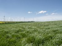 green grass in a field with wind turbines in the back ground as well as a lone blue sky above