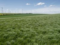 green grass in a field with wind turbines in the back ground as well as a lone blue sky above