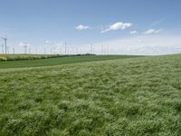 green grass in a field with wind turbines in the back ground as well as a lone blue sky above