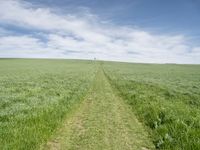 Germany's Lush Green Landscape: A View of Agriculture