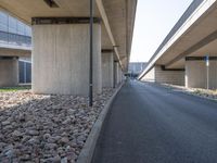 Germany's Modern Architecture: Asphalt Road