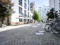 two courtyards, in the middle of the city are very neat, but have little trees and bushes