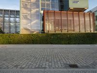 a building has wood slat fencing around the perimeter of it, to prevent predators