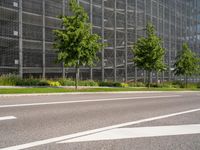 a wide roadway lined with traffic lines and trees on both side of it's driveway