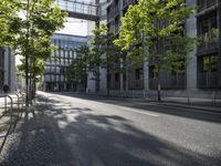 an empty street with benches along the side and trees growing on either side of it