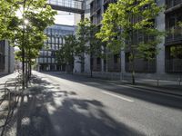 an empty street with benches along the side and trees growing on either side of it