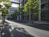 an empty street with benches along the side and trees growing on either side of it