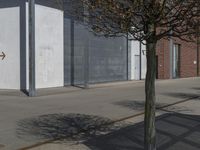 the tree in front of a gray and red building near two signs on it's sides