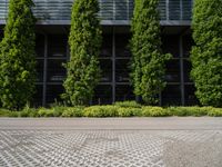 the sidewalk is lined with shrubs outside of the building by plants and cobblestone