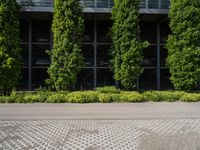 the sidewalk is lined with shrubs outside of the building by plants and cobblestone