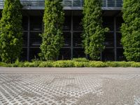 the sidewalk is lined with shrubs outside of the building by plants and cobblestone