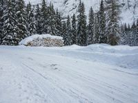 Germany Mountain Landscape: Snow-Covered Road