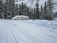 Germany Mountain Landscape: Snow-Covered Road
