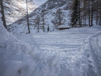 a man with ski poles stands behind a pile of snow, in the snow - covered area below trees, as the sun peeks overhead