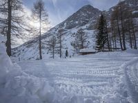 a man with ski poles stands behind a pile of snow, in the snow - covered area below trees, as the sun peeks overhead