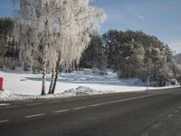 a motorcycle on a road next to two trees covered in snow next to snow and trees