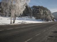 a motorcycle on a road next to two trees covered in snow next to snow and trees