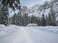 a mountain road with lots of snow on it and evergreens lining the road behind it