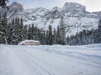 a mountain road with lots of snow on it and evergreens lining the road behind it
