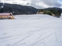 Germany: Mountain Skiing in the Snow