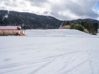 Germany: Mountain Skiing in the Snow