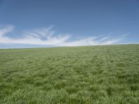 Nature in Germany: Open Spaces and Lush Greenery