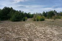 an empty dirt area with some trees and bushes next to it by itself thats dry