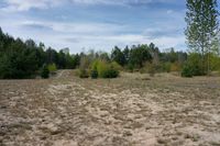 an empty dirt area with some trees and bushes next to it by itself thats dry