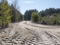 Off-Roading in Germany: Dirt and Grass Adventure