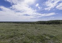 Germany's Park: Grassy Hills under Cloudy Skies