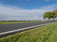 a small road through a pasture with tall trees on the other side of it,