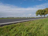 a small road through a pasture with tall trees on the other side of it,