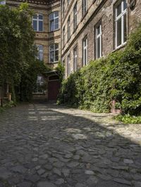 a cobble stone walkway next to buildings and bushes and trees and bushes next to an old brick building