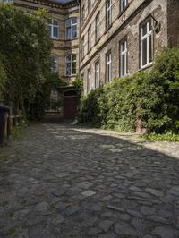 a cobble stone walkway next to buildings and bushes and trees and bushes next to an old brick building