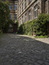 a cobble stone walkway next to buildings and bushes and trees and bushes next to an old brick building