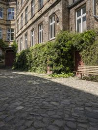 a cobble stone walkway next to buildings and bushes and trees and bushes next to an old brick building