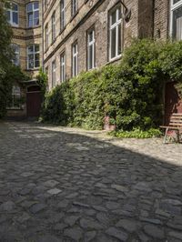 a cobble stone walkway next to buildings and bushes and trees and bushes next to an old brick building