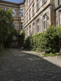 a cobble stone walkway next to buildings and bushes and trees and bushes next to an old brick building