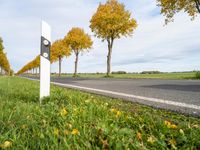 Germany Road: Asphalt in a Cloudy Landscape