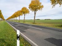 Germany Road: Asphalt in a Cloudy Landscape