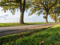 Germany Road: Asphalt and Green Landscape