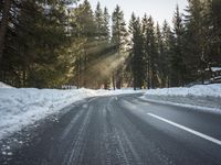 the sunlight shines brightly over a snow covered street in the woods of a pine forest